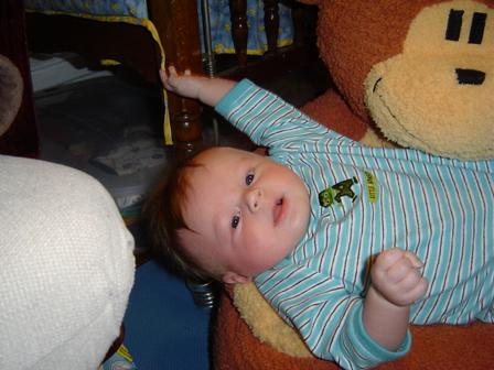 Drake hanging out in his monkey chair, having a great time; October 29, 2004